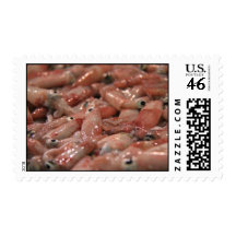 Squid Postage Stamp