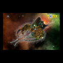 Squid ship