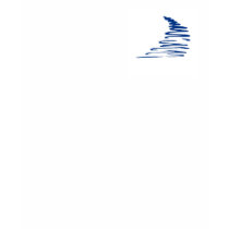 Squiggly Lines _t-shirt