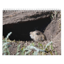 squirel in hole calendar