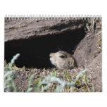 squirel in hole calendar