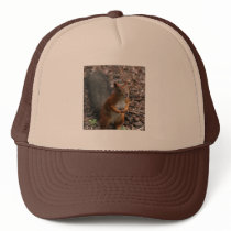 Squirell Mesh Hat