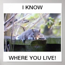 Squirell Poster