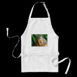Squirrel 1 aprons