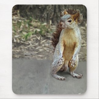 Squirrel 1 mousepad