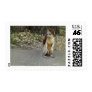Squirrel 1
