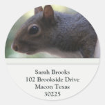 Squirrel Address Labels Round Sticker