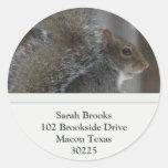 Squirrel Address Labels Round Stickers