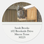 Squirrel Address Labels Sticker