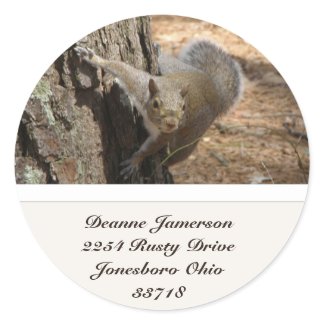 Squirrel Address Stickers sticker