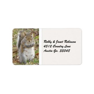 Squirrel Address Stickers label