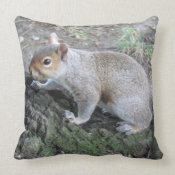 Squirrel throwpillow