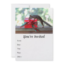 Squirrel and Christmas Present Invites