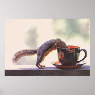 Squirrel and Coffee Cup