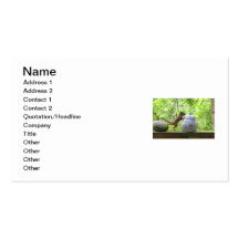 Squirrel and Cookie Jar Business Card Templates