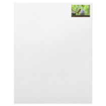 Squirrel and Cookie Jar Letterhead