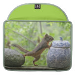 Squirrel and Cookie Jar MacBook Pro Sleeve