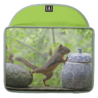 Squirrel and Cookie Jar MacBook Pro Sleeve