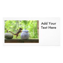 Squirrel and Cookie Jar Photo Card Template