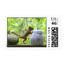 Squirrel and Cookie Jar Stamp