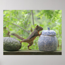 Squirrel and Cookie Jar Poster Print