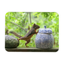 Squirrel and Cookie Jar Vinyl Magnets