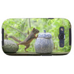 Squirrel and Cookie Jar Samsung Galaxy S3 Cases