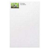 Squirrel and Cookie Jar Stationery