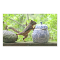 Squirrel and Cookie Jar Rectangle Sticker