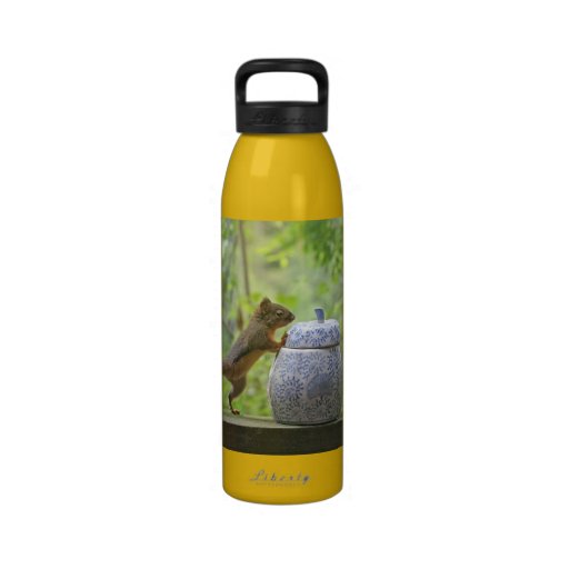 Squirrel and Cookie Jar Water Bottles