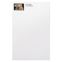 Squirrel and Guitar Customized Stationery