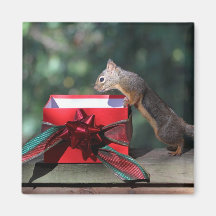 Squirrel and Open Present Fridge Magnet