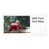 Squirrel and Open Present Customized Photo Card