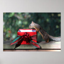 Squirrel and Open Present Print