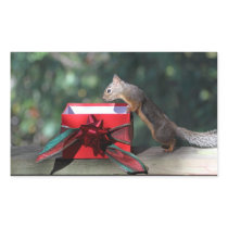 Squirrel and Open Present Rectangle Stickers