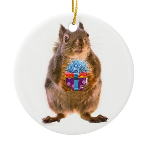 Squirrel and Present Christmas Tree Ornament | Zazzle