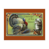 Squirrel and Turkey Vintage Thanksgiving Postcard