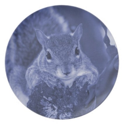 squirrel animal on log hanging out bluish dinner plates