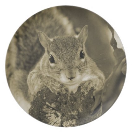 squirrel animal on log hanging out sepia party plate