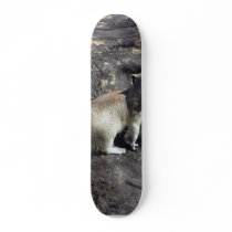Squirrel Animal skateboards by lifesphere Squirrel Animal skateboards