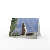 Squirrel at the Grand Canyon cards