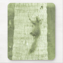 Squirrel At The Park mousepads