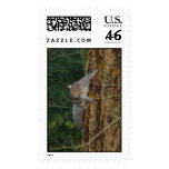 Squirrel Attack! Stamps