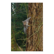 Squirrel Attack posters by kapulani Squirrel Attack posters