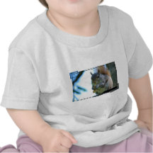 Squirrel Baby T-Shirt
