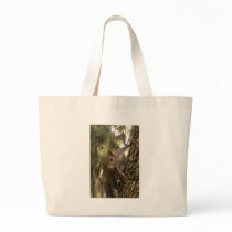 squirrel bags by amjon1 squirrel bags