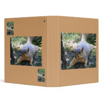 SQUIRREL binders by tina312 SQUIRREL binders