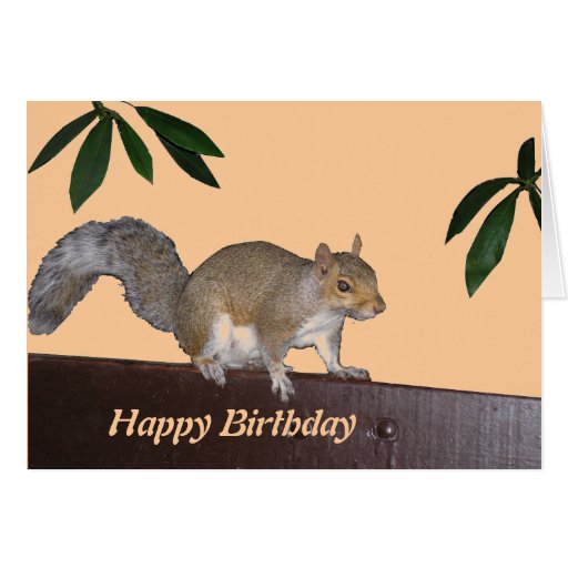 Squirrel Birthday Card Zazzle