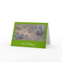 squirrel & blue jay II cards