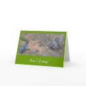 squirrel & blue jay III cards